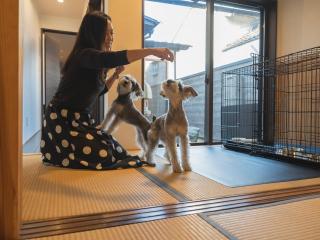 松江日和 by HIYORISTAY - 4