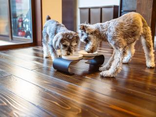 松江日和 by HIYORISTAY - 6