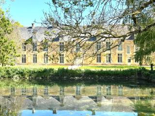 Le château de Grisy -13p et sa Ferme -9p, Piscine - Vendeuvre - 6