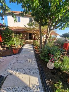 Casa Tanya - Vama Veche - 7