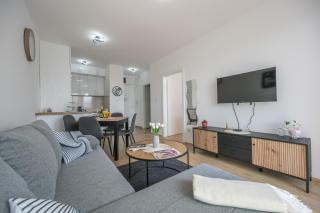 Apartman TRI KRALJA 2 - Banja Koviljača - 3