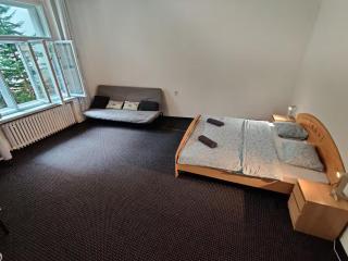 Private Room With Free Parking Next to Railway Station - Praga - 0