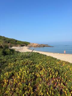 Hotel Thalassa - 5