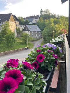 Waldhof Hochsauerland - Medebach - 7