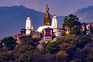 Kathmandu Suite Home - 1