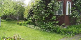 SUMMERHOUSE ДАЧА near the BEACH - Gauja - 1