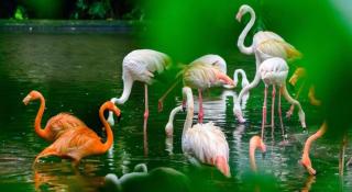 7 Days Inn Guangzhou Zoo Huanghuagang Metro Station - Canton - 4