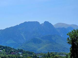 Apartamenty z widokiem & Basen - Willa KRÓLE 25A by RentiloPL - Zakopane - 0