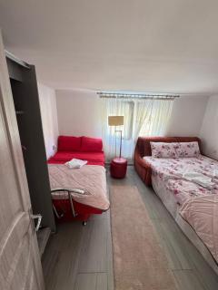 Apartman Lana - Mojkovac - 1