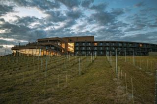 Hotel Essence - Pogány - 0