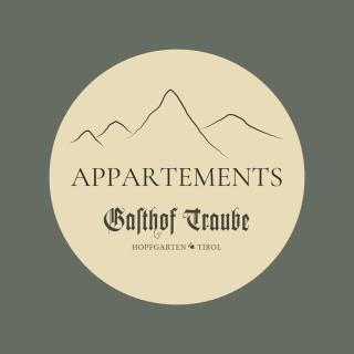 Appartements Gasthof Traube Top 5 - Hopfgarten im Brixental - 1