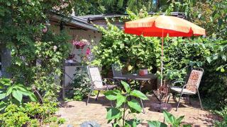 Ferienwohnung-Amselnest-in-Wiek-auf-Wittow - Wiek auf Rügen - 9