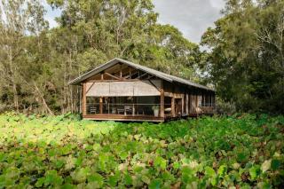 The Boathouses at Leaves & Fishes - Lovedale - 0