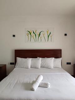 Havelock Inn - Nuwara Eliya - 9