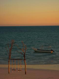 Savannah Beach - Ambatomilo - 5