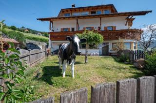 Neu-Schötzerhof - 3