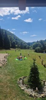Pensiunea Poiana Țibleș - 3