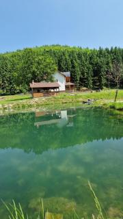 Pensiunea Poiana Țibleș - - 7