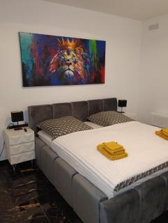 Lion Apartments 1 - Norimberga - 1