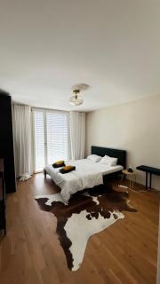 Cozy Apartment near Zurich - Altendorf - 6