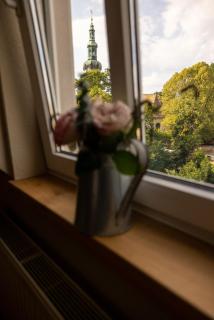 SeeZauber- gemütliche Ferienwohnung, Privatparkplatz, Cospudener See - 2