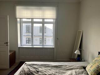 Nice apartment in inner Østerbro - Copenaghen - 2