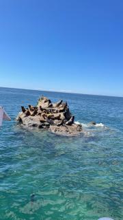 The Chilote Hideaway - 3