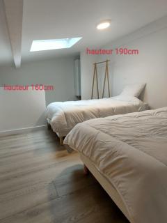 Saint-Amour domaine de la vigne - 4