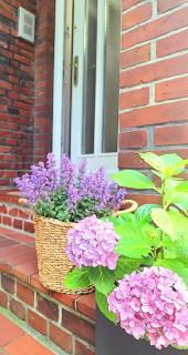 Renovated townhouse with garden - Niederdorla - 4