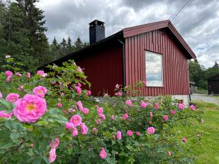 Cabin with great view close to town and ski area - Lillehammer - 9