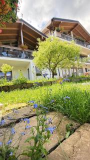 REY Chalet - Vatra Dornei - 5