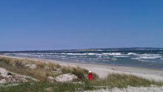 prora46 Meerblick Apartment - Binz - 7