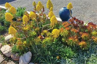 Port Indigo Guest House - 5