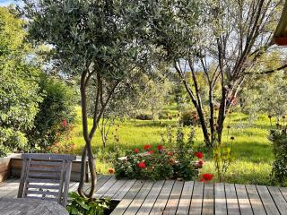 The Happy Place, private cottage with rustic pool - 5