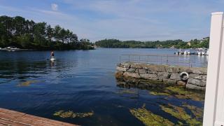 Fishing from the garden - Lindås - 5