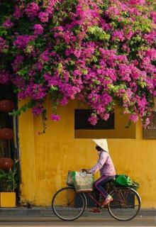 Hội An Spirit Homestay - Hoi An - 0