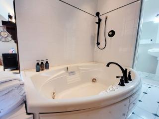 General Mills Suite Jacuzzi Sauna - Duluth - 7