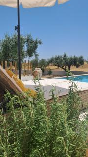 LALOU Casinhas B&B - Mértola - 9