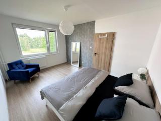 Apartmán v klidné části Hradce - Hradec Králové - 7