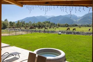 Villa Eliyas with Jacuzzi near the Pirin Golf Resort - Razlog - 8