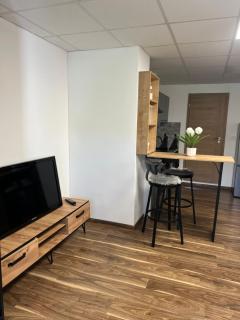 Apartmán Laura v centre - Prievidza - 9