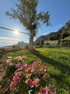Casa Miele - Omiš (Almissa) - 9