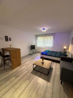 Superbe grand studio, parking - Saint-Priest - 5