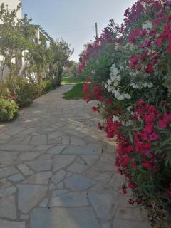 HOTEL KAPARI - Agia Anna Naxos - 9
