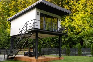 Urban Forest House - 7