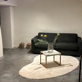 FLAX Apartments - charm and comfort in historic center - Antwerp - 2