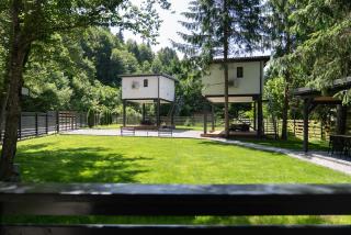 Urban Forest House - 5