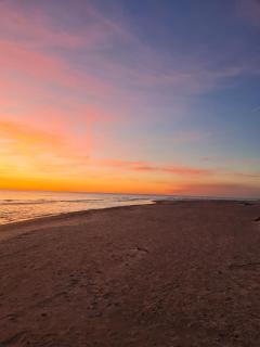 Nemirseta - Palanga - 9