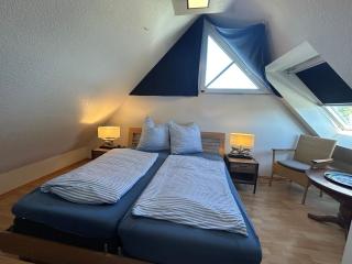 Möwe - a67617 - Zingst - 5