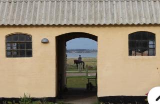 Stutteri Ahl near beach and town - Ebeltoft - 7